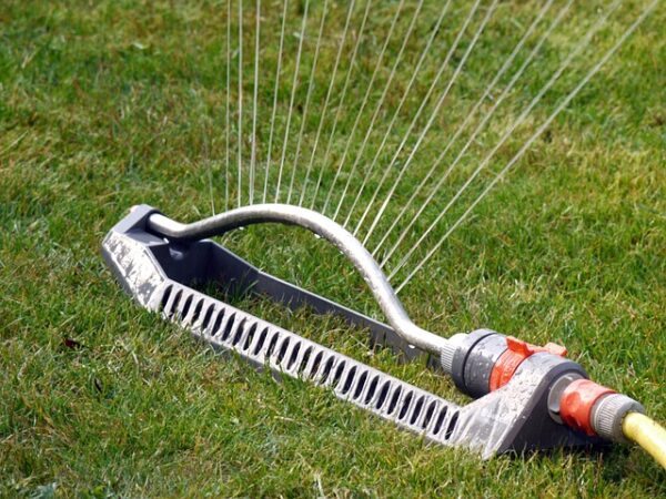 Wasser sparen trotz Hitzewelle - in manchen Gemeinden wird Rasen sprengen jetzt verboten - RATGEBER spiel-preis.de