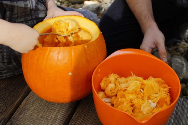 Kürbis schnitzen mit Kindern - Halloween feiern - RATGEBER spiel-preis.de - aus dem Inneren lässt sich gut Suppe verarbeiten