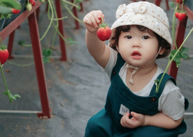 Paradies für kleine Entdecker: Garten für Kleinkinder anlegen - Erdbeeren & Co. im Hochbeet sind eine leckere Idee - Ratgeber spiel-preis.de