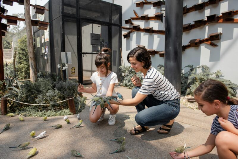 Ostern mit Kleinkindern - Tiergarten Besuch gehört bei vielen Familien zum Programm - Ratgeber spiel-preis.de